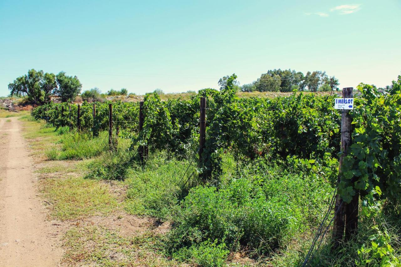 Willa Bezalel Wine & Brandy Estate Kanoneiland Zewnętrze zdjęcie